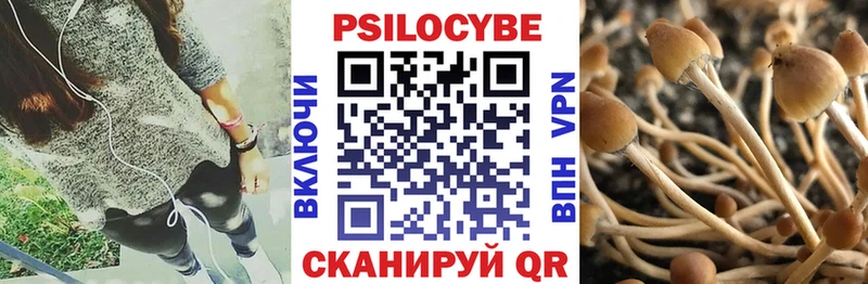 Псилоцибиновые грибы Cubensis  Ипатово 